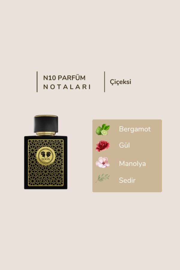 ادکلن اورجینال برند Noox perfumes مدل N10 Parfüm کد 780402066