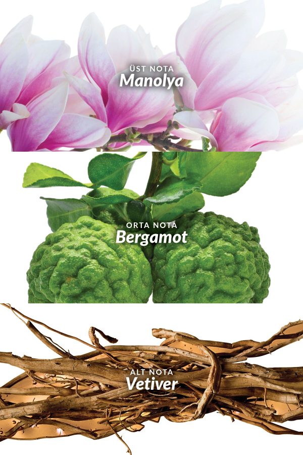 ادکلن اورجینال برند Avon کد 863144772 - Image 4