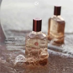 ادکلن اورجینال برند Yves rocher کد 872087992
