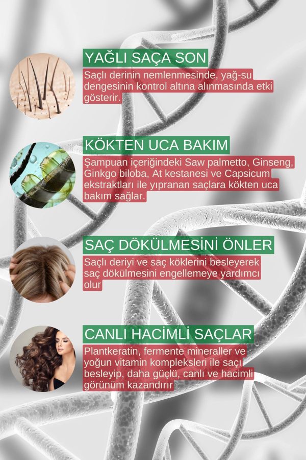 شامپو اورجینال برند Zigavus کد 1078251 - Image 3