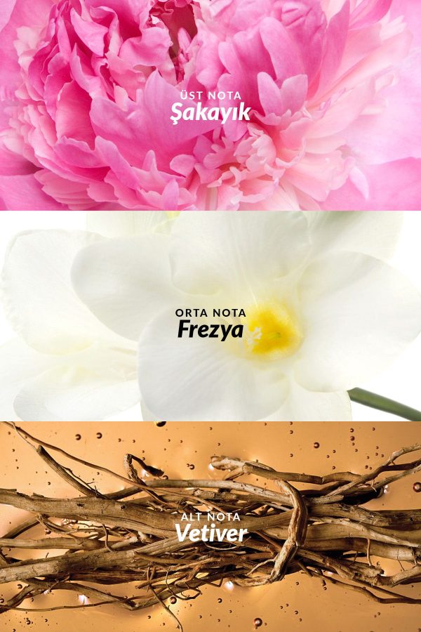 ادکلن اورجینال برند Avon کد 112149 - Image 3