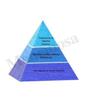 ادکلن اورجینال برند Bargello مدل 509B کد 288628132