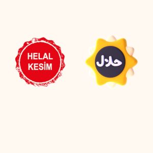 کرم بدن اورجینال برند Rednar کد 804256242