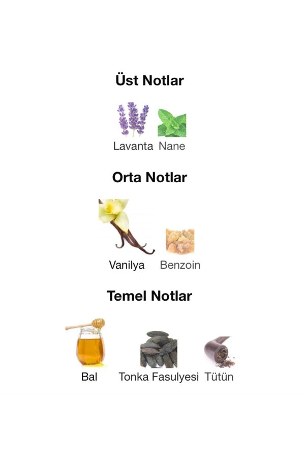 ادکلن اورجینال برند Emre boslu مدل Le Male Elixir Extrait کد 875985780 - Image 3