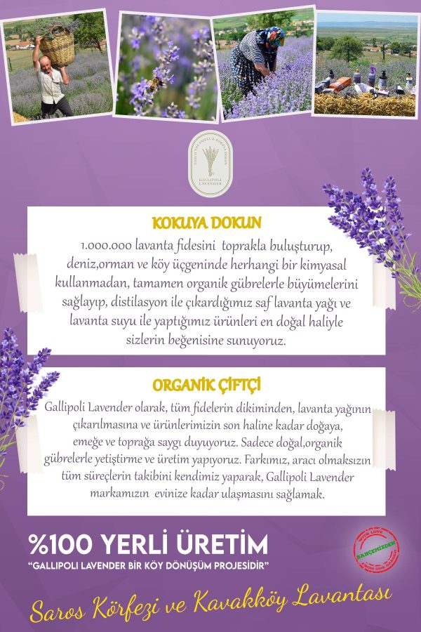 کرم جوان کننده اورجینال برند Dr lavender کد 865203947 - Image 3