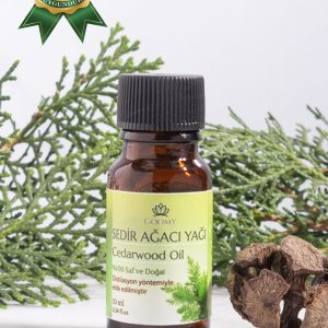 روغن مراقبت کننده اورجینال برند Goomy کد 832372119