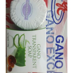 ست مراقبت از پوست اورجینال برند Ganoexcel کد 233130689