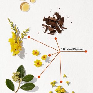 رنگ مو اورجینال برند Phyto مدل Amonyaksız kalıcı bitkisel saç boyası کد 32404789