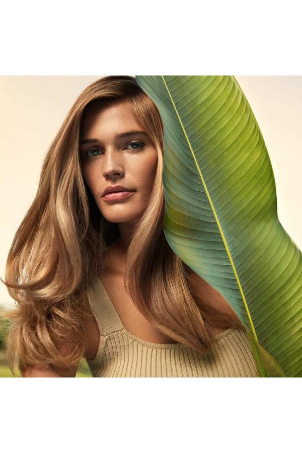 شامپو اورجینال برند Aveda کد 860868129 - Image 5