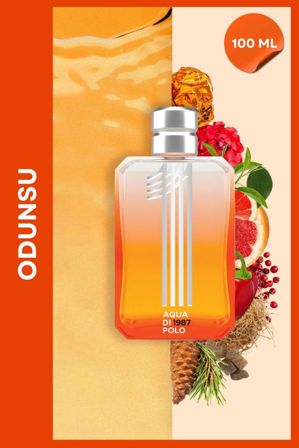 ادکلن اورجینال برند Aqua di polo 1987 مدل 1987 No1 Edp 100ml کد 331864457