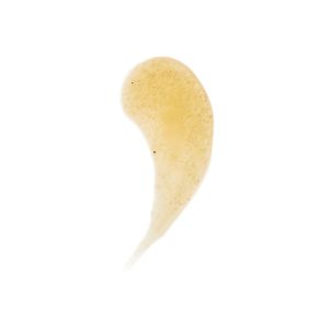 کرم بدن اورجینال برند Bath body works مدل Avocado Ultra Shea Body Scrub کد 127583577