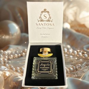 ادکلن اورجینال برند Santosa کد 862612681