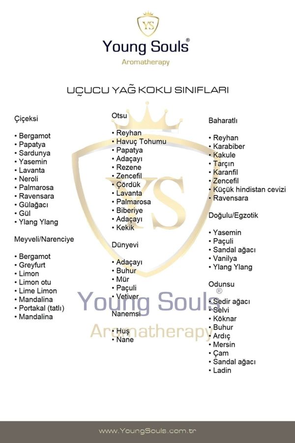 روغن مراقبت کننده اورجینال برند Young souls کد 266694609 - Image 8