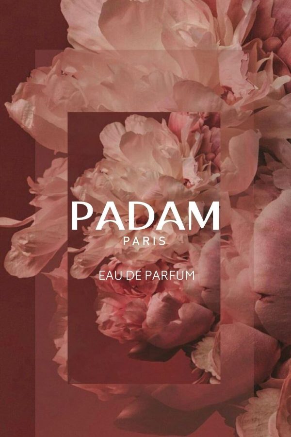 ادکلن اورجینال برند Padam paris کد 652701807 - Image 7