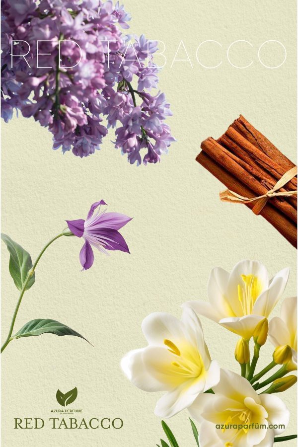 ادکلن اورجینال برند Azura perfumum کد 803876200 - Image 4