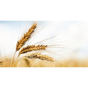 ست مراقبت از مو اورجینال برند Insight کد 135946198