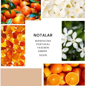 ادکلن اورجینال برند Ixora مدل K284 Fantastic کد 856339891