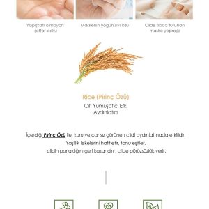 ماسک صورت اورجینال برند Prettyskin کد 841677645