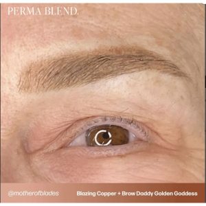 کیت آرایش اورجینال برند Perma blend مدل Blazing Copper 15 ml کد 869933723