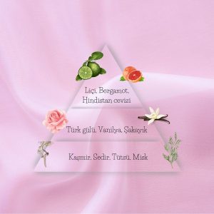 ادکلن اورجینال برند Creamia کد 805127039