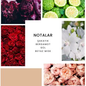 ادکلن اورجینال برند Ixora مدل K375 La Rose کد 856339602