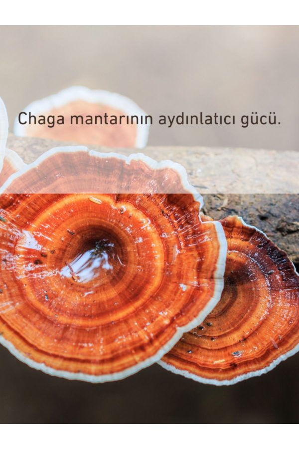 ضد آفتاب صورت اورجینال برند Bionnex کد 192635700 - Image 4