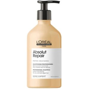 ست مراقبت از مو اورجینال برند L oreal professionnel مدل Absolut Repair کد 746287958